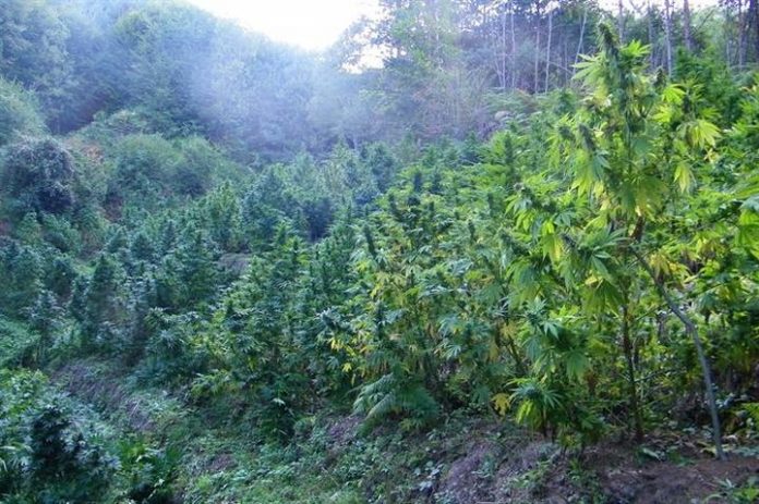 779c8163979765834593405d38512208