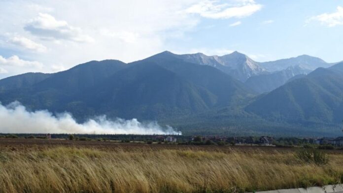 991-ratio-pirin-planina