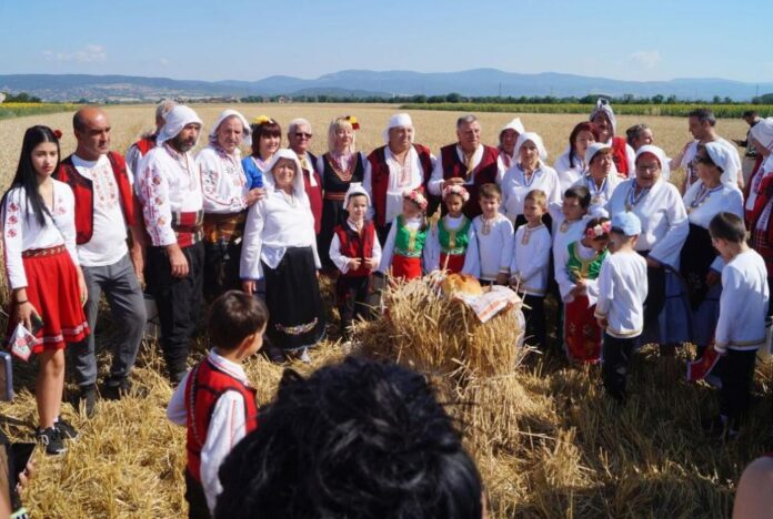 991-ratio-pytiat-na-hliaba