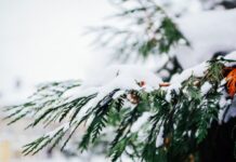 Облачно и студено: Сняг, дъжд и усложнена пътна обстановка