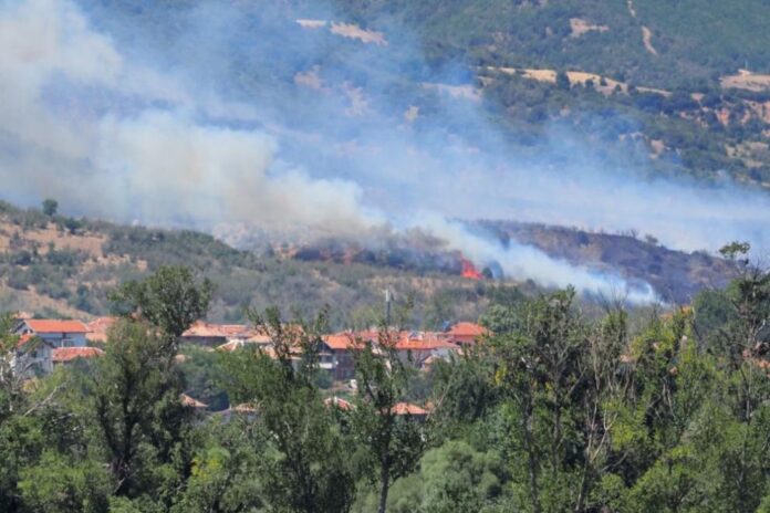 9e7a24eb357aeb365fcf029395a52e65