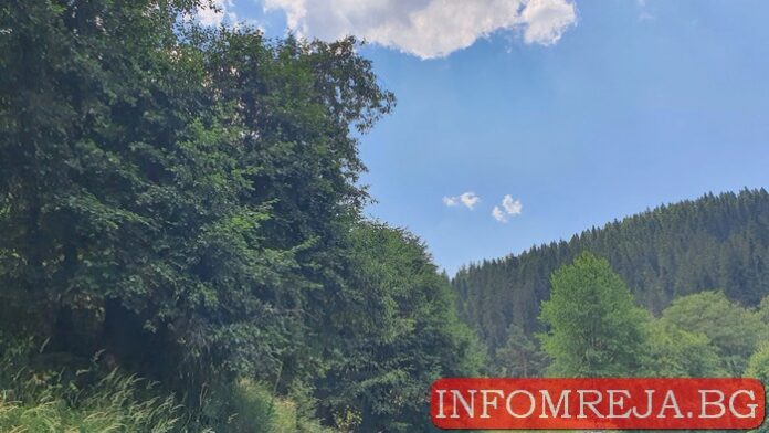 ea34a24c62da2a7e86214b35edc9e8fa