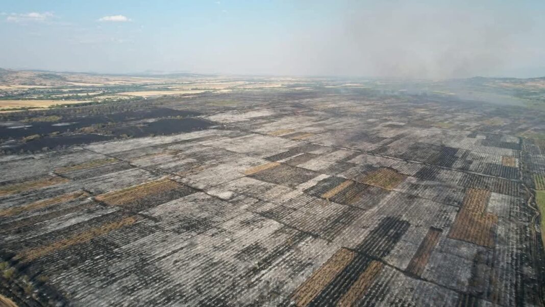 523111966_1272664461135454_4157632108899660915_n