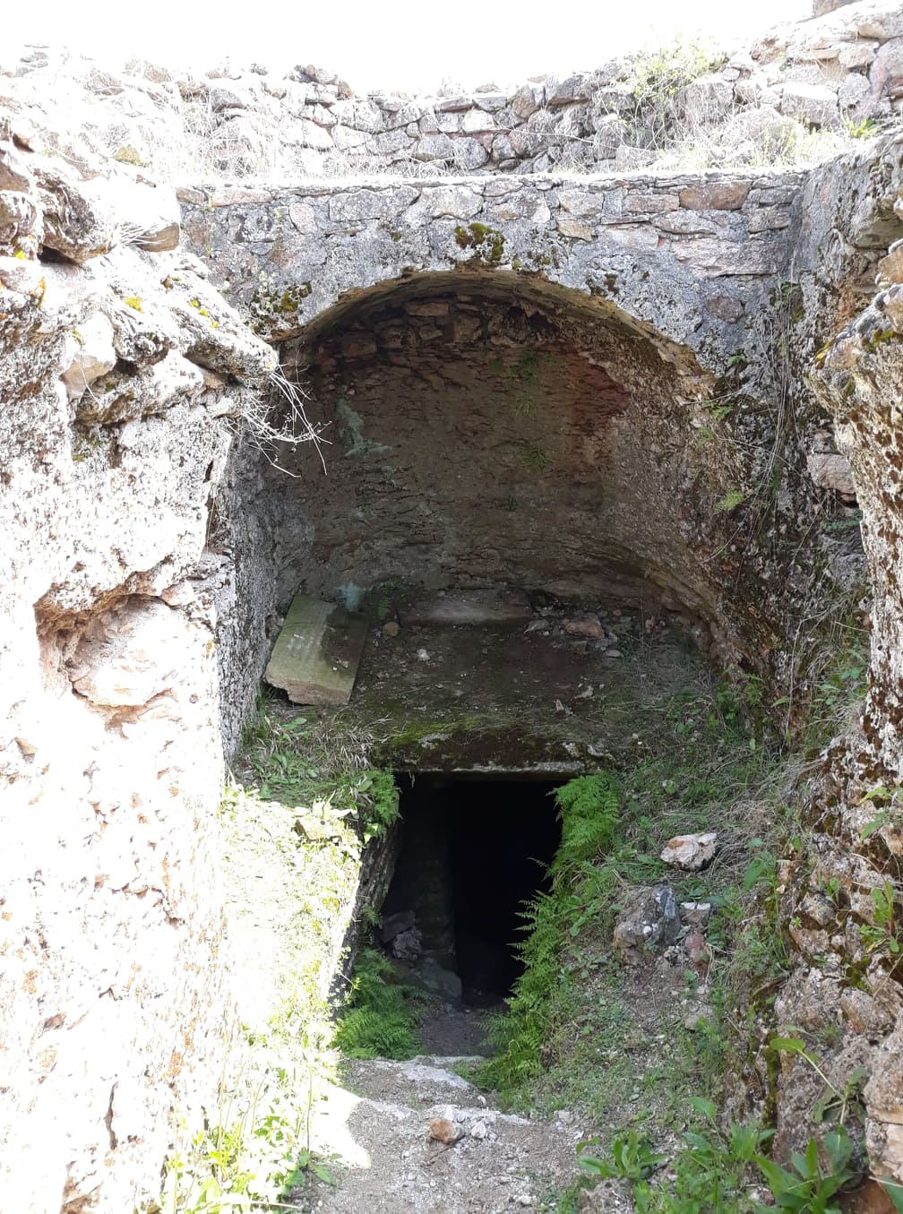 58756850_291632885103266_7588861789287219200_n