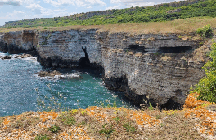 Екранна снимка 2025-08-05 133647