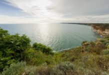 Дейли Прес ръзтърсва системата: Морската пътна карта на България: обещания на хартия, липса на реални действия