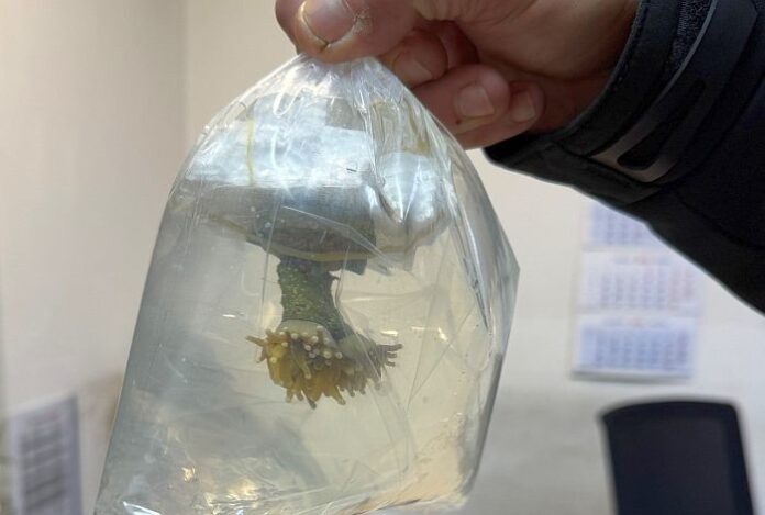 0133f46ae0cfbe82b5fdcbad3af1dfbc