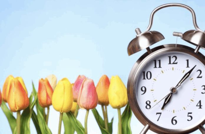 Screenshot 2026-03-09 at 8.42.12