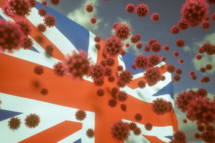 238ea9a4a41c9505f1f4759a9f512e7c