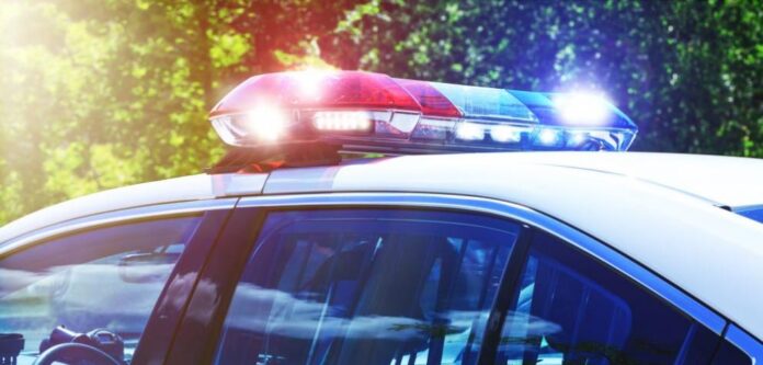 991-ratio-policiia-patrulka-svetlini