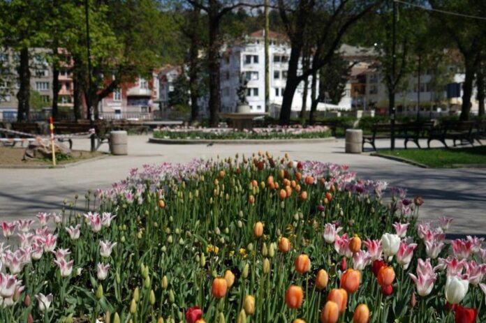 991-ratio-obshtina-gabrovo