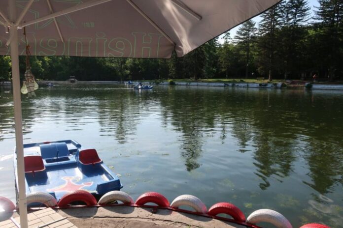 991-ratio-park-kajlyka