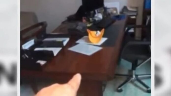 1200_avstralia-parlament-sex