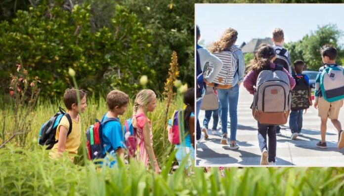 b7157836fa9558896a285d21e6892c9d (1)