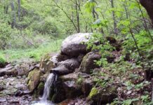 Дейли Прес представя: „Живата вода“ – легендата, която тече: магичният извор със змейска глава, скрит в сърцето на Витоша