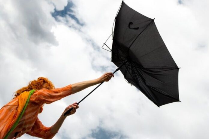 6d3944c87ef0e00bf6e14b8998bfd928