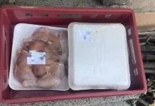 БАБХ спря близо 190 кг храни за детски градини във Враца